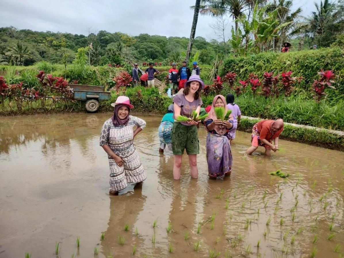 Girang Rinjani Bungalows Tetebatu Eksteriør bilde