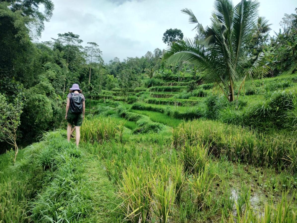 Girang Rinjani Bungalows Tetebatu Eksteriør bilde