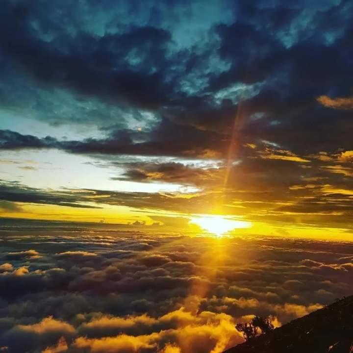 Girang Rinjani Bungalows Tetebatu Eksteriør bilde