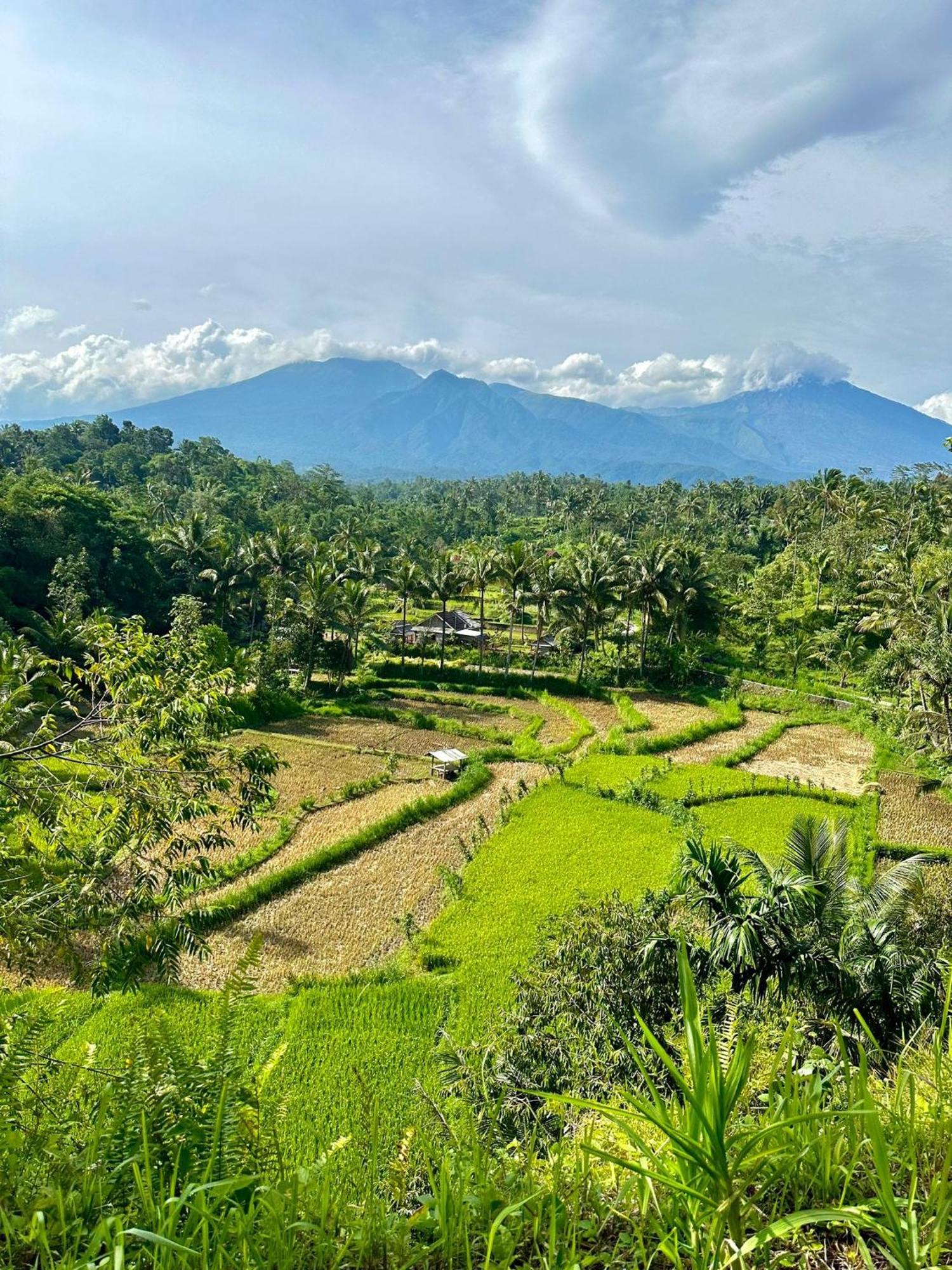 Girang Rinjani Bungalows Tetebatu Eksteriør bilde