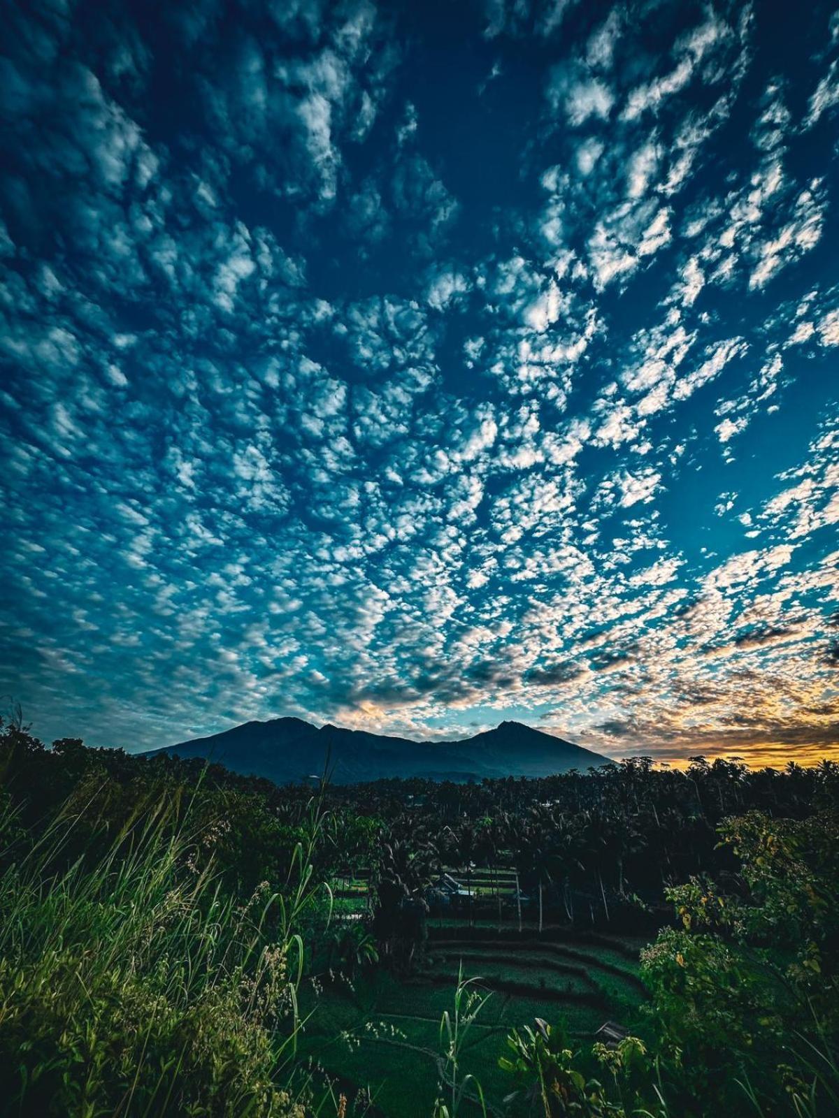 Girang Rinjani Bungalows Tetebatu Eksteriør bilde
