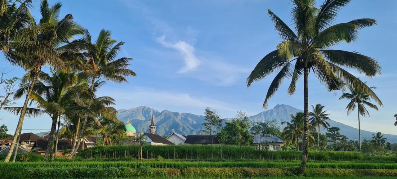Girang Rinjani Bungalows Tetebatu Eksteriør bilde
