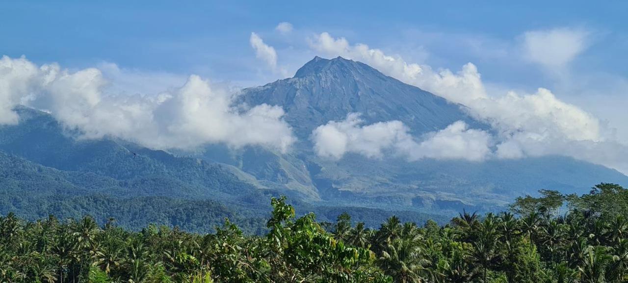 Girang Rinjani Bungalows Tetebatu Eksteriør bilde