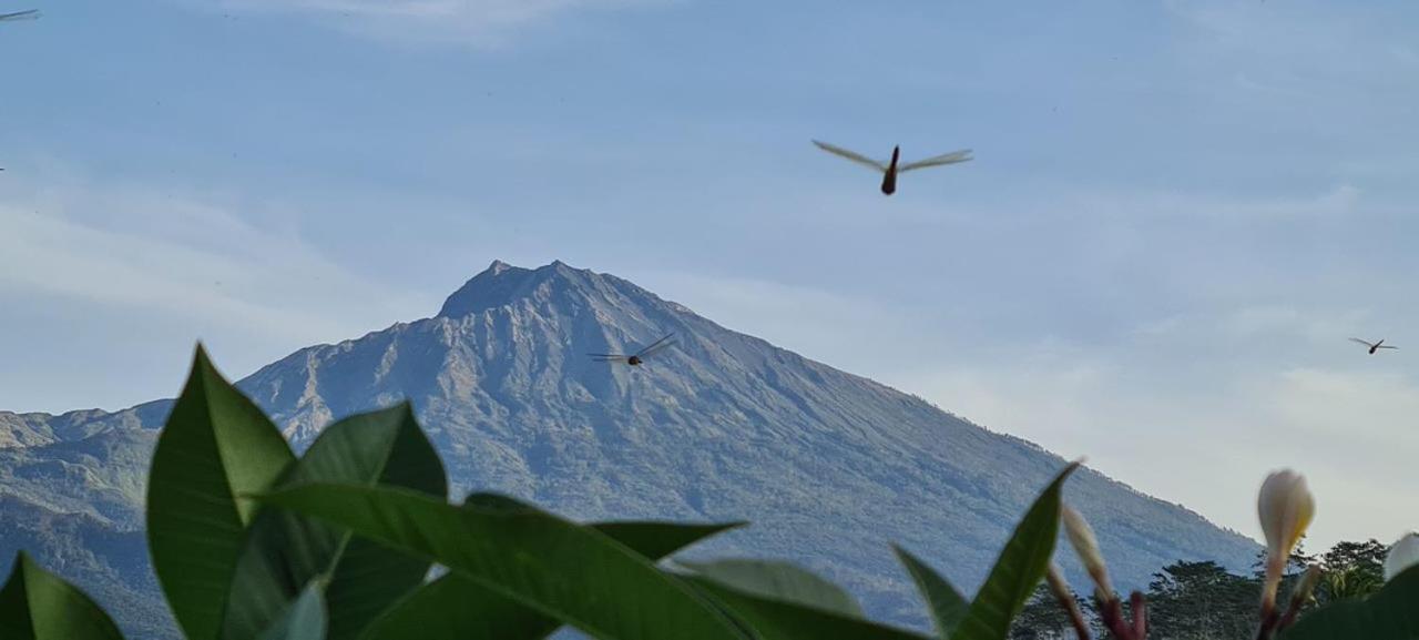 Girang Rinjani Bungalows Tetebatu Eksteriør bilde